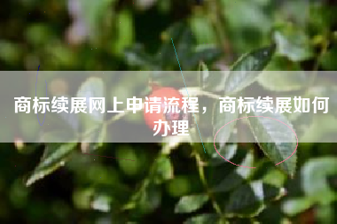 商标续展网上申请流程，商标续展如何办理