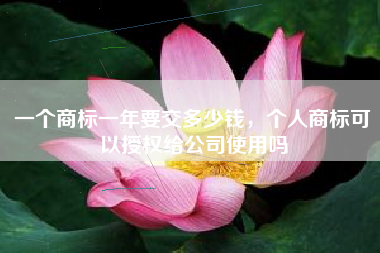 一个商标一年要交多少钱，个人商标可以授权给公司使用吗