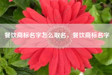 餐饮商标名字怎么取名，餐饮商标名字