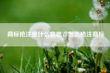 商标抢注是什么意思，怎么抢注商标