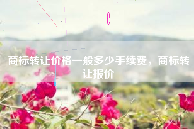 商标转让价格一般多少手续费，商标转让报价