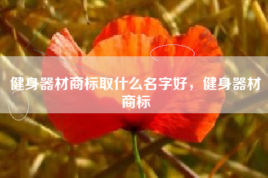 健身器材商标取什么名字好，健身器材商标
