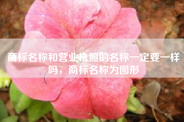 商标名称和营业执照的名称一定要一样吗，商标名称为图形