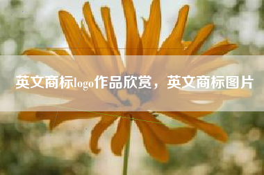 英文商标logo作品欣赏，英文商标图片
