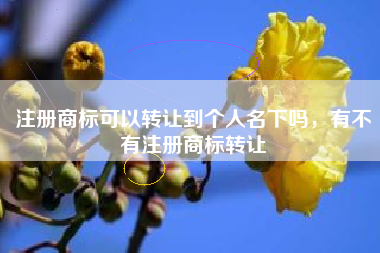 注册商标可以转让到个人名下吗,有不有注册商标转让 注册商标可以转让到个人名下吗,有不有注册商标转让