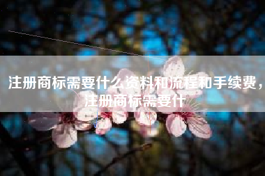 注册商标需要什么资料和流程和手续费,注册商标需要什 注册商标需要什么资料和流程和手续费,注册商标需要什