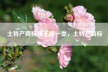 土特产商标属于哪一类，土特产商标