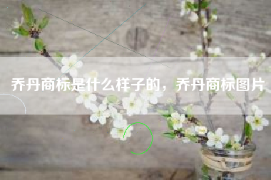 乔丹商标是什么样子的，乔丹商标图片