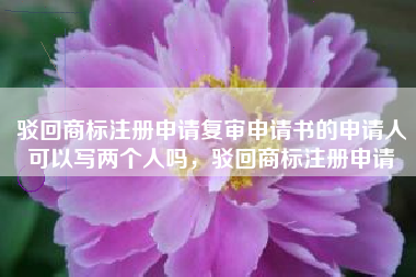 驳回商标注册申请复审申请书的申请人可以写两个人吗,驳回商标注册申请 驳回商标注册申请复审申请书的申请人可以写两个人吗,驳回商标注册申请