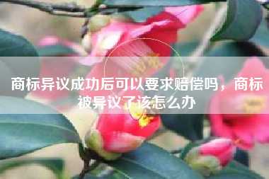商标异议成功后可以要求赔偿吗，商标被异议了该怎么办