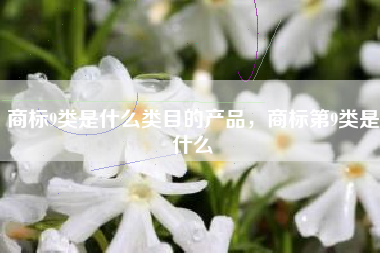 商标9类是什么类目的产品，商标第9类是什么