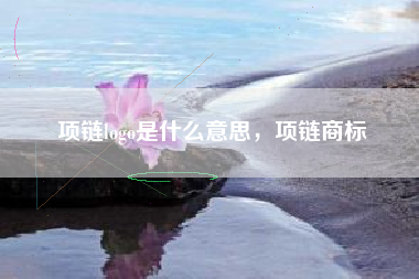 项链logo是什么意思，项链商标