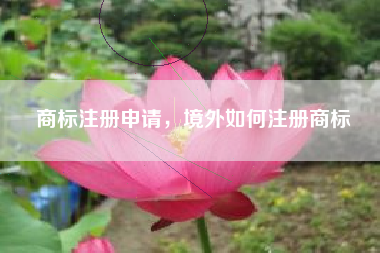 商标注册申请,境外如何注册商标 商标注册申请,境外如何注册商标
