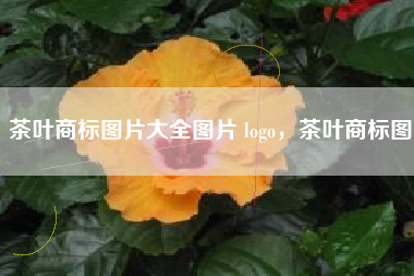 茶叶商标图片大全图片 logo，茶叶商标图