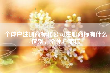 个体户注册商标和公司注册商标有什么区别,个体户商标 个体户注册商标和公司注册商标有什么区别,个体户商标