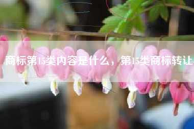 商标第15类内容是什么，第15类商标转让