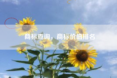 商标查询，商标价值排名