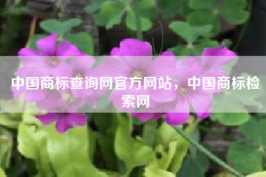 中国商标查询网官方网站，中国商标检索网