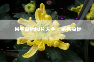 易字商标图片大全，易名商标