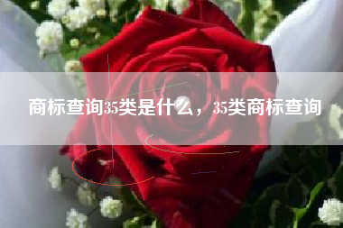 商标查询35类是什么，35类商标查询