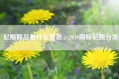 尼斯商品是什么意思，2019商标尼斯分类