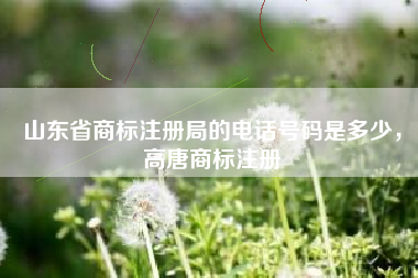 山东省商标注册局的电话号码是多少,高唐商标注册 山东省商标注册局的电话号码是多少,高唐商标注册