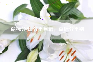商标分类 分类目录，商标分类别