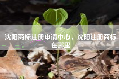 沈阳商标注册申请中心,沈阳注册商标在哪里 沈阳商标注册申请中心,沈阳注册商标在哪里