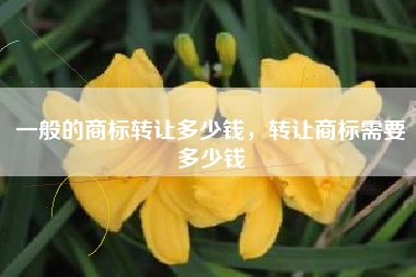 一般的商标转让多少钱，转让商标需要多少钱