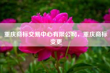 重庆商标交易中心有限公司，重庆商标变更