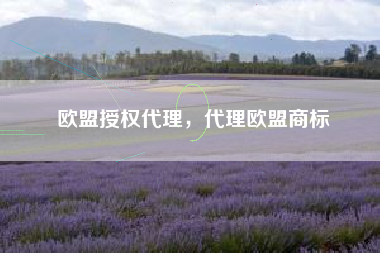 欧盟授权代理，代理欧盟商标