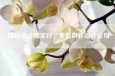 商标设计哪家好，著名商标设计公司