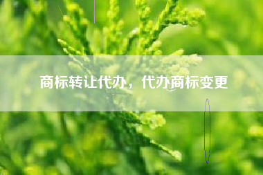 商标转让代办，代办商标变更