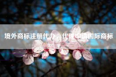 境外商标注册代办,代理申请国际商标 境外商标注册代办,代理申请国际商标