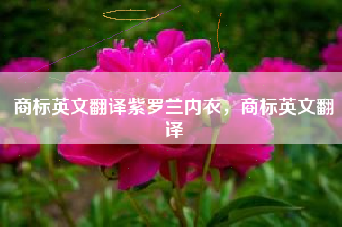 商标英文翻译紫罗兰内衣，商标英文翻译