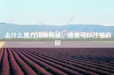 去什么地方注册商标,哪里可以注册商标 去什么地方注册商标,哪里可以注册商标