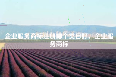 企业服务商标注册哪个类目好,企业服务商标 企业服务商标注册哪个类目好,企业服务商标