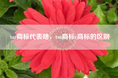 tm商标代表啥，tm商标r商标的区别