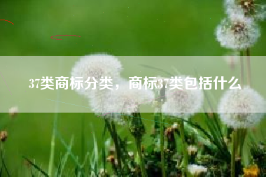 37类商标分类，商标37类包括什么
