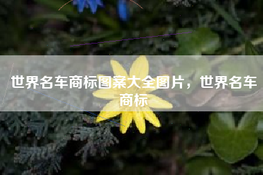 世界名车商标图案大全图片，世界名车商标