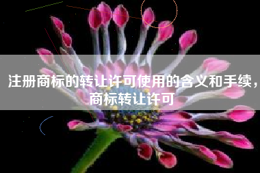 注册商标的转让许可使用的含义和手续,商标转让许可 注册商标的转让许可使用的含义和手续,商标转让许可