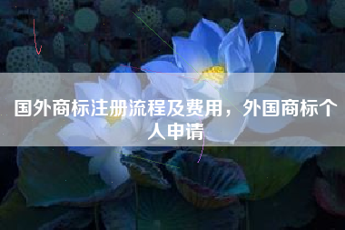国外商标注册流程及费用,外国商标个人申请 国外商标注册流程及费用,外国商标个人申请