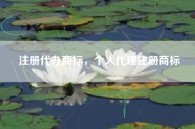 注册代办商标,个人代理注册商标 注册代办商标,个人代理注册商标