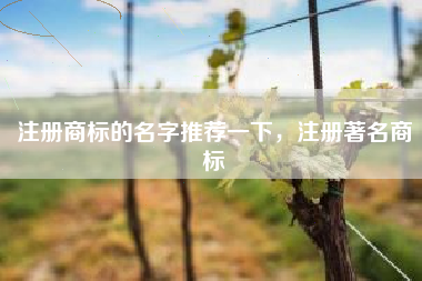 注册商标的名字推荐一下，注册著名商标