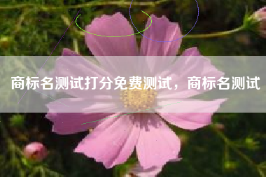 商标名测试打分免费测试，商标名测试