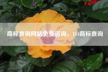 商标查询网站免费咨询，114商标查询