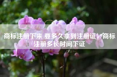 商标注册下来 要多久拿到注册证,商标注册多长时间下证 商标注册下来 要多久拿到注册证,商标注册多长时间下证