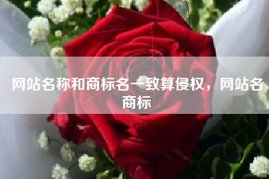 网站名称和商标名一致算侵权，网站名商标