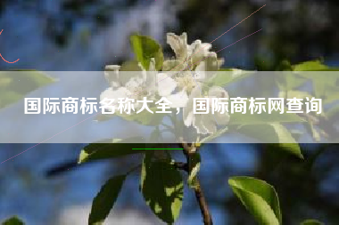 国际商标名称大全，国际商标网查询