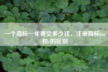 一个商标一年要交多少钱,注册商标tm和r的区别 一个商标一年要交多少钱,注册商标tm和r的区别